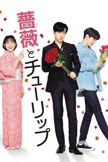 A Rose and a Tulip (2019)